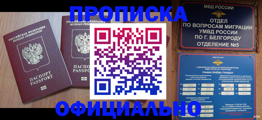 найти адрес прописки в Никольске